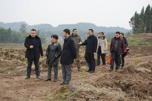 tianjian.jpg
